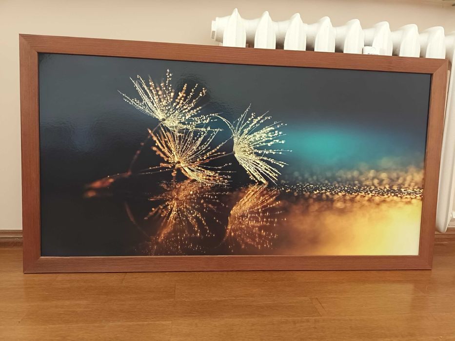 Obraz duży 100 x 50 cm