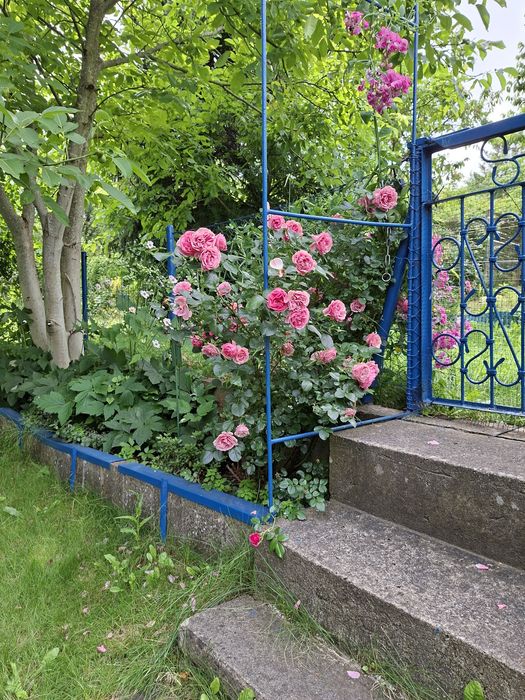 Sprzedam działkę ROD Nowolipie - Widok 5