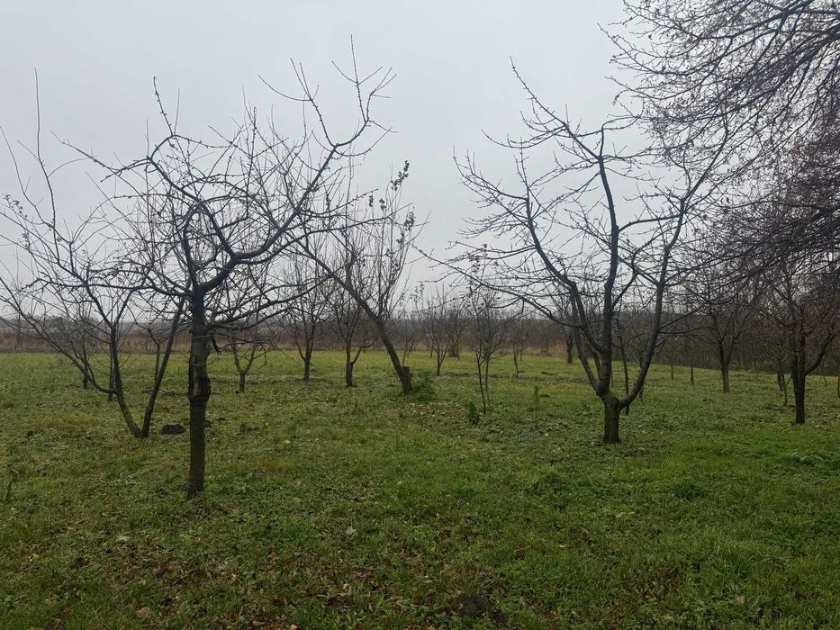 Продається будинок в Тростянці