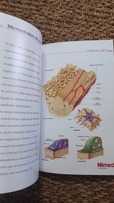 Doenças do aparelho locomotor - Volume 1