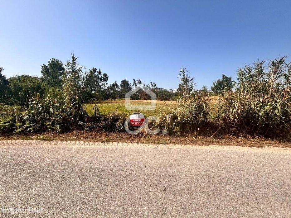 Terreno  Venda em Vieira de Leiria,Marinha Grande