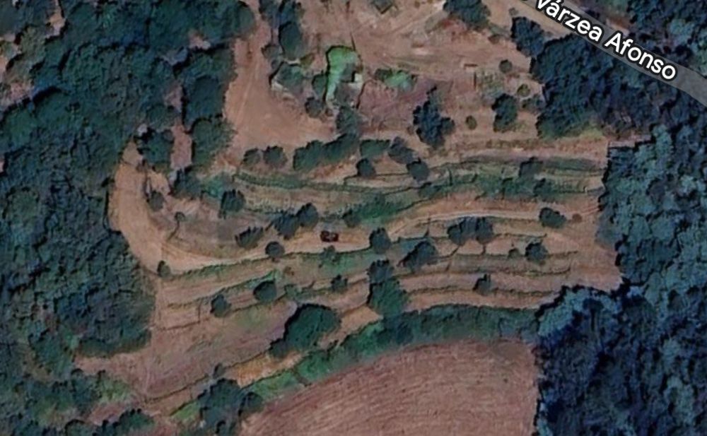 Vende-se Quinta de Oliveiras e Vindimas com 5369.16m2