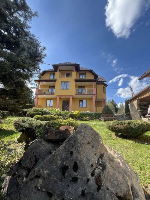 Кімнати-студії з лісовим пейзажом в Східниці.