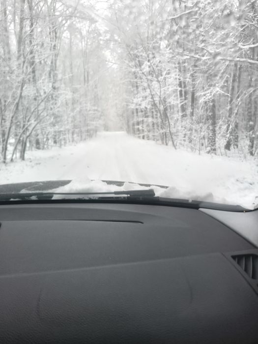 Torebka damska PUCCINI Monogram BLXP0001 2