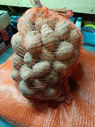 Ziemniaki Lily, Bellarosa-worki 15kg