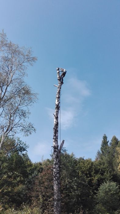 Wycinka,Podcinka Drzew trudnych-malowanie dachów, cały Śląsk