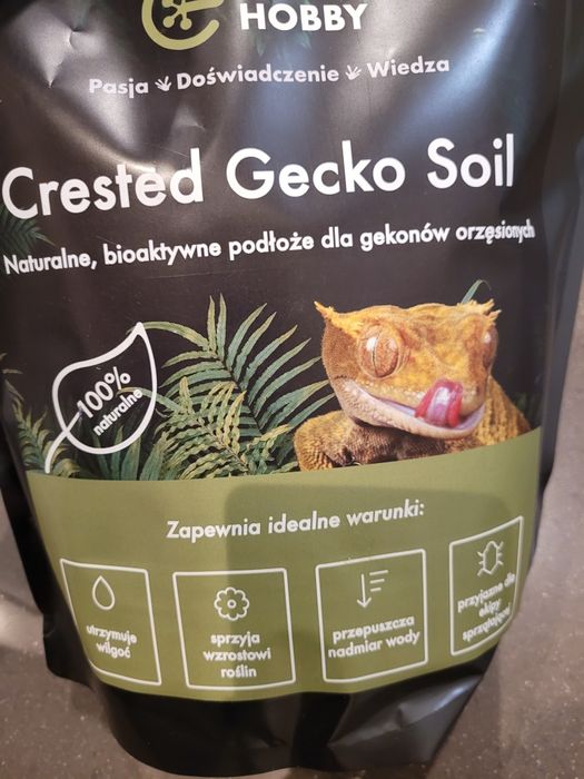 Podłoże do terrarium dla gekona gekon wąż