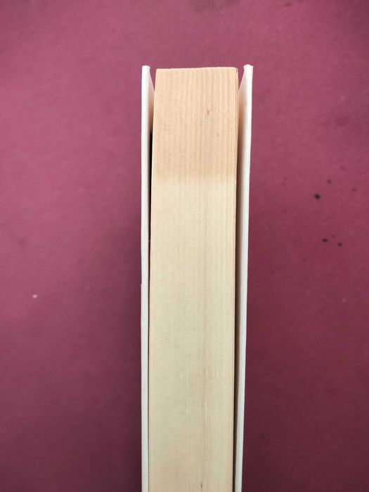 Este Consumo que nos Consome - Beja Santos