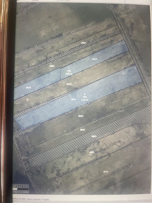 2ha łąka Biesiekierz kolonia