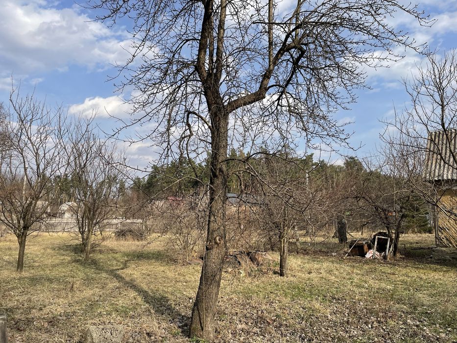 Кутова ділянка в с. Ворзель