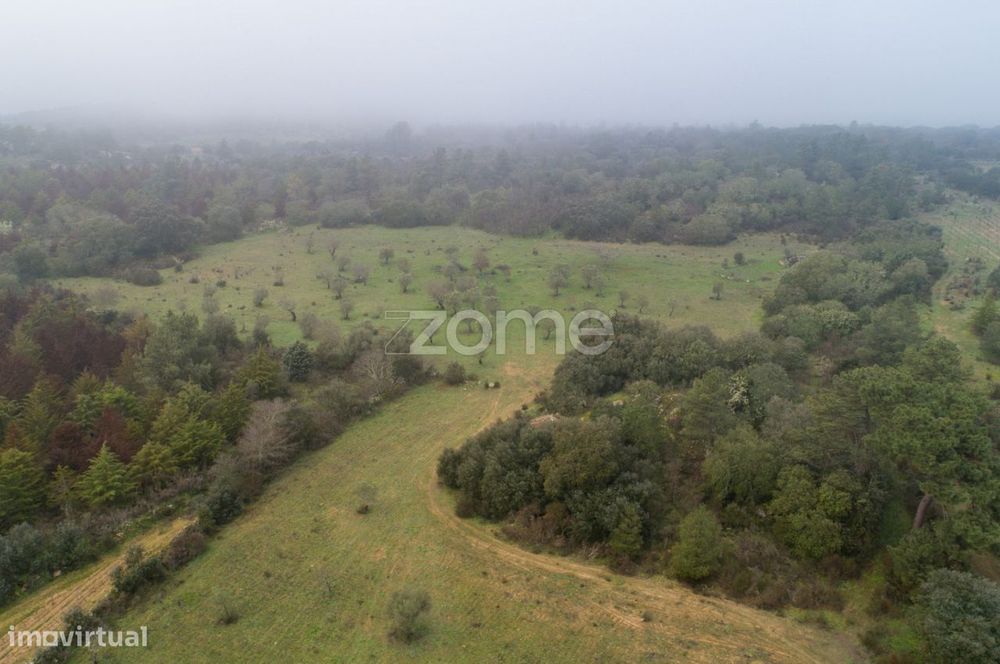 Terreno agrícola com 4 hectares, Vila Nova de Fôz Coa