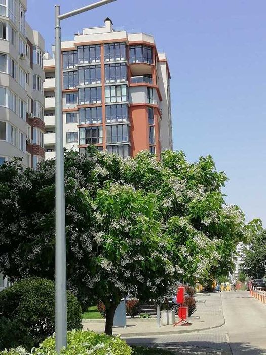 1-комнатная квартира по адресу ул. Проценко (площадь 38 м²) - Atlanta.ua - фото 2