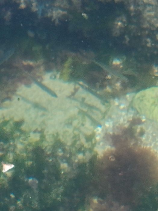 Aquário, estrutura 300 litros filtro