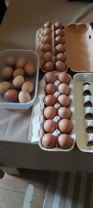 Vendo ovos caseiros 2,80€