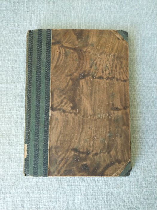A step szumi, dzwoni, gra - W. Milowicz 1929