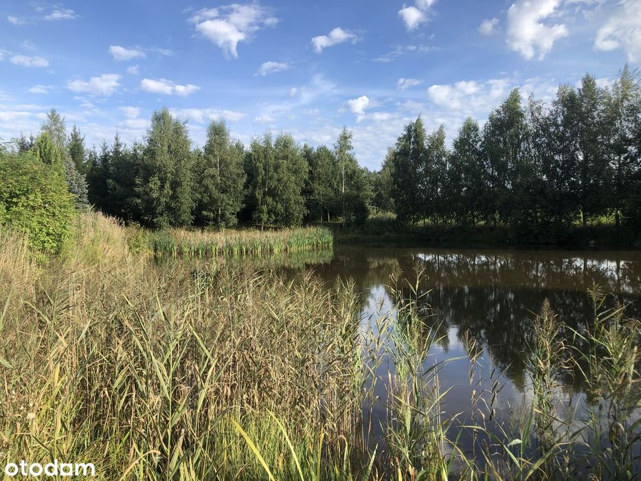 Dom – Dębowo - Widok 5