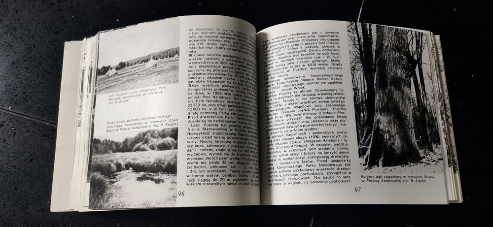 Puszcze bory i lasy Polski Ryszard Zaręba