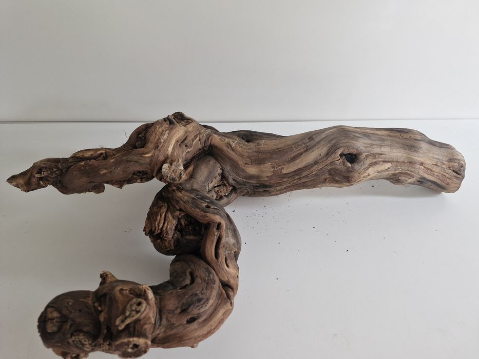 Trixie Reptiland  konar winorośli do terrarium