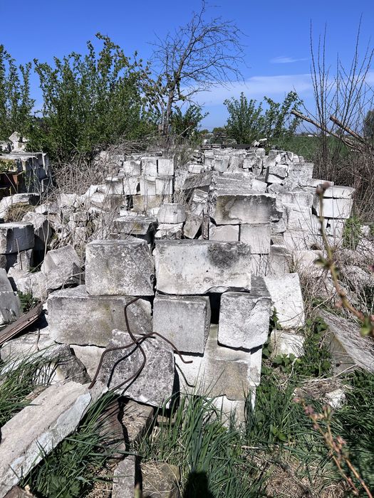 Pustaki oddam za darmo