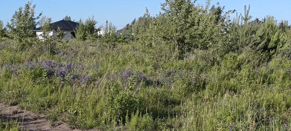 Продам земельну ділянку Зарічани початок