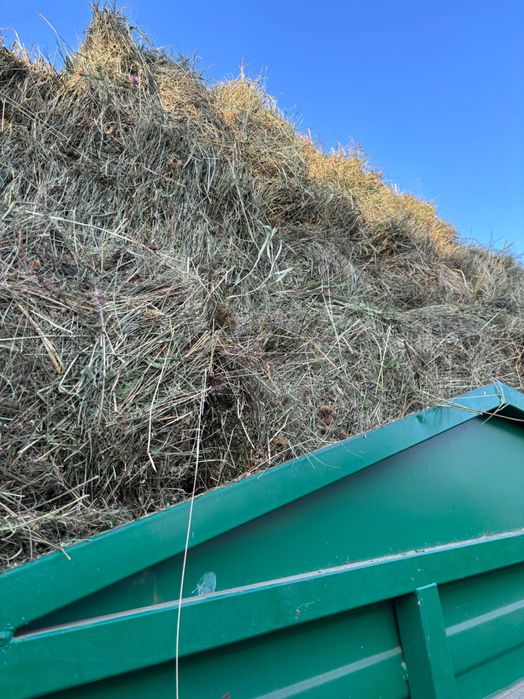 Siano, słoma, owies