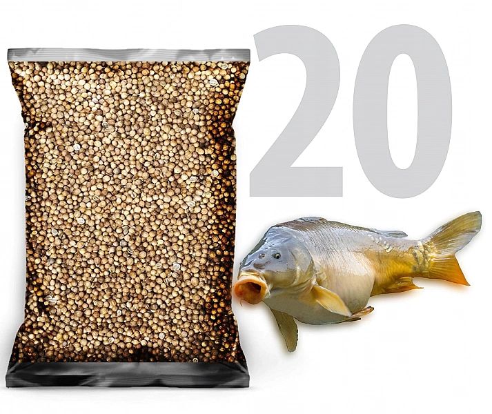 20kg Kolendra ziarno zanęta przynęta wędkarska karaś karp