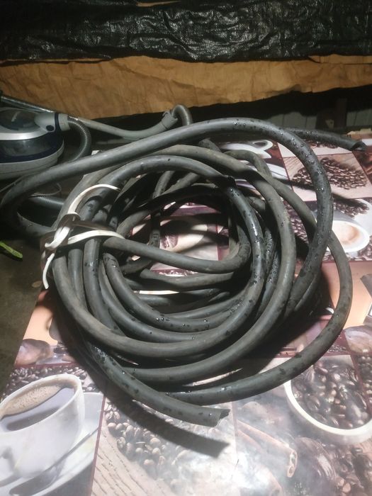 Шланг толстотелый