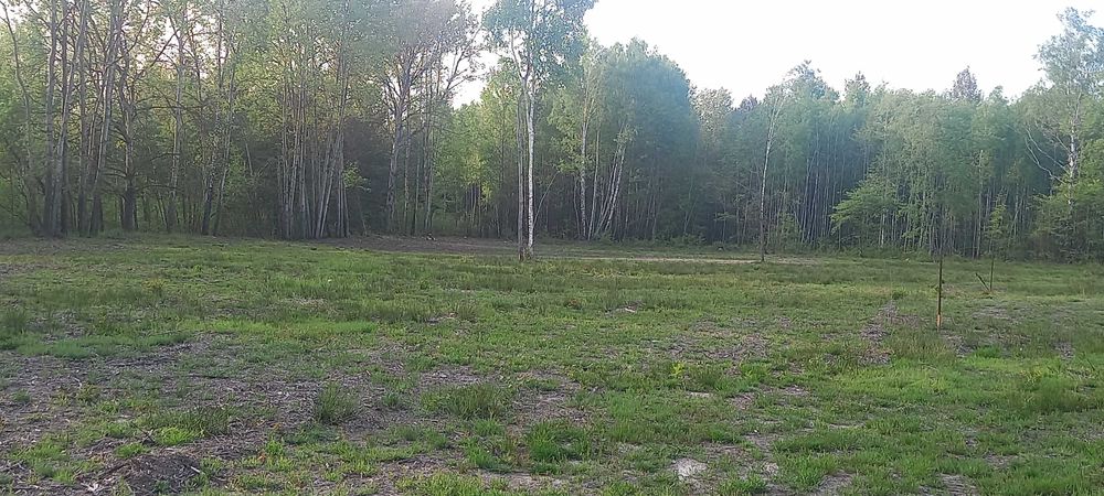 Sprzedam Działkę budowlaną k/Urli w Kukawkach