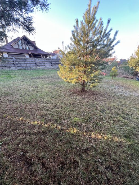 Будинок , котедж біля лісу та озера ,  заїжджай і живі ремонт  меблі техніка генератор камін  ОТГ Калинівка
