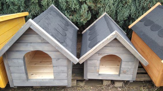 Mega duża buda XxL schronienie dla psa