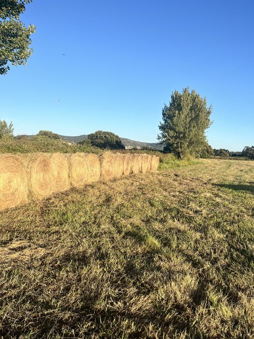 Rolos de palha