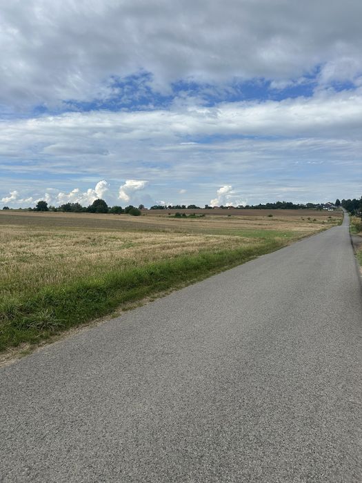 Działka rolno-budowlana 1ha | WZ | asfalt | Strupice, gm. Waśniów - Widok 2