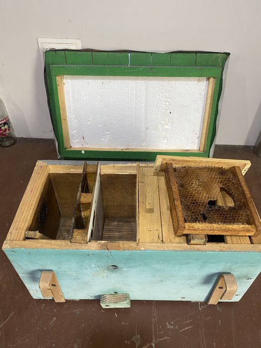 Нуклеус, Матки, Нуки