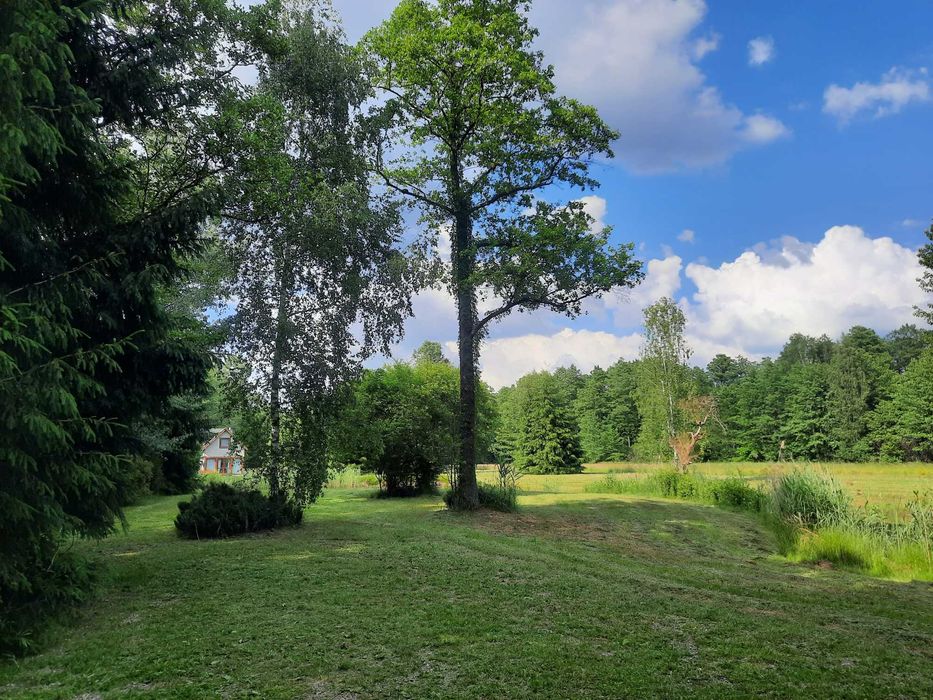 Domek do wynajęcia w strefie ciszy przy stawie