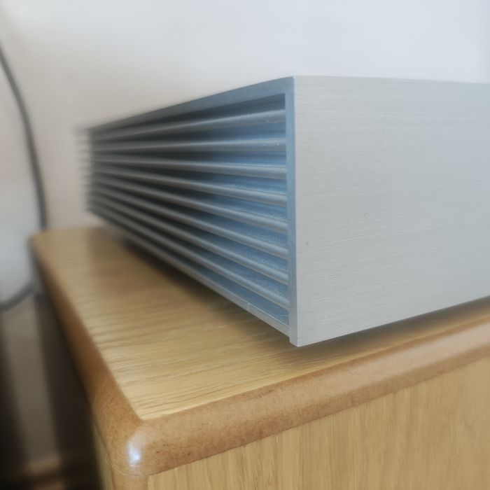 Densen Dino Cast Amp
