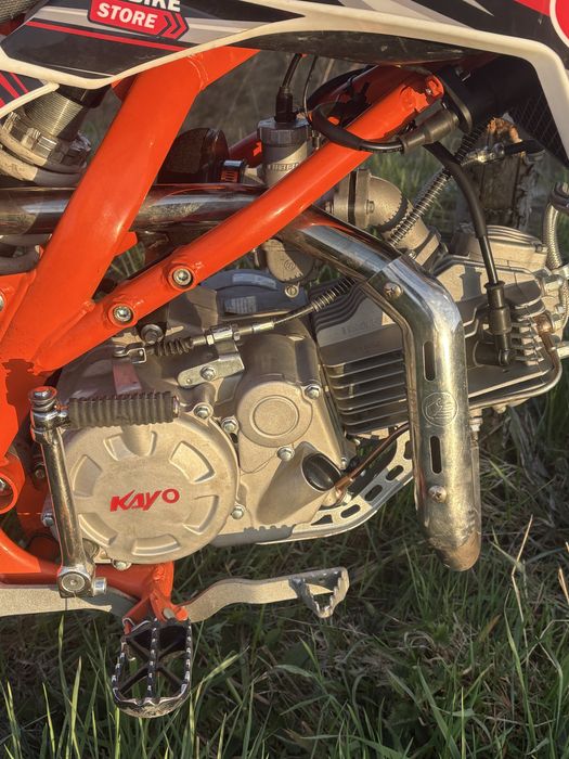 Kayo 160tt pitbike (mrf,rc,tr)