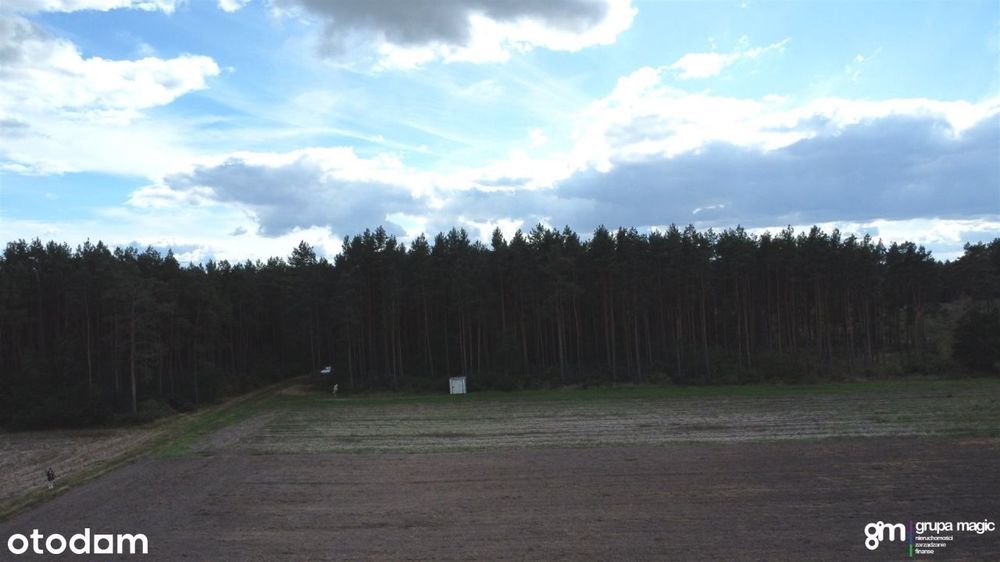 Działki z Wz, przy lesie, Stajenczynki