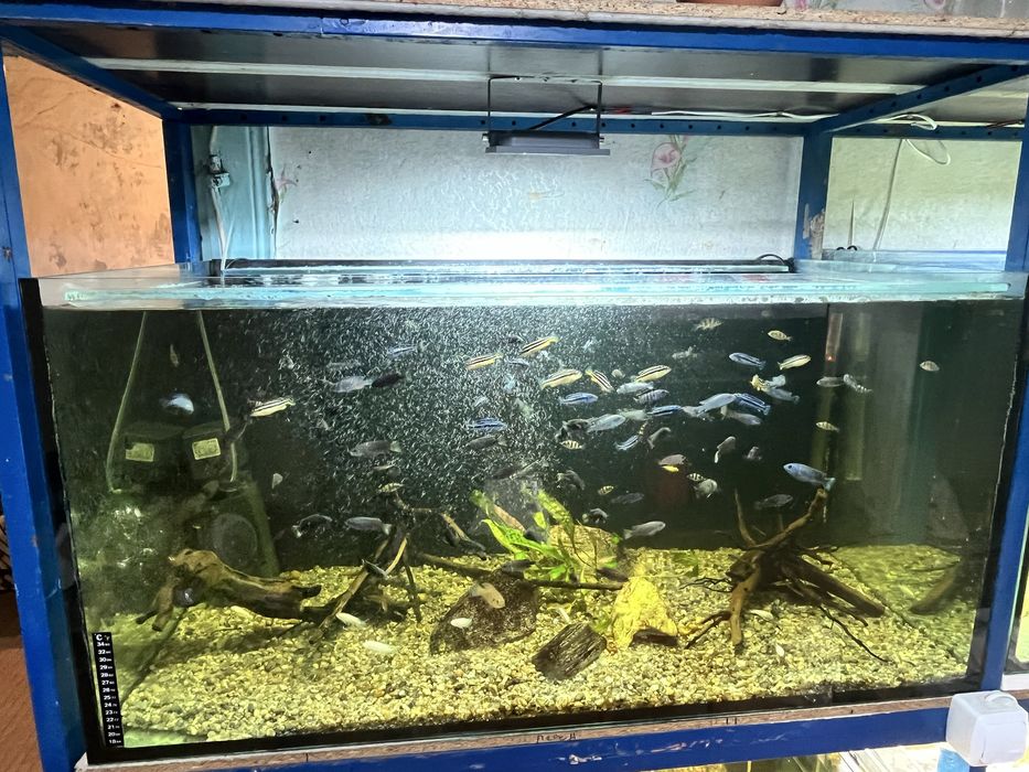 Акваріум Стойка на 4 акваріума по 250 л