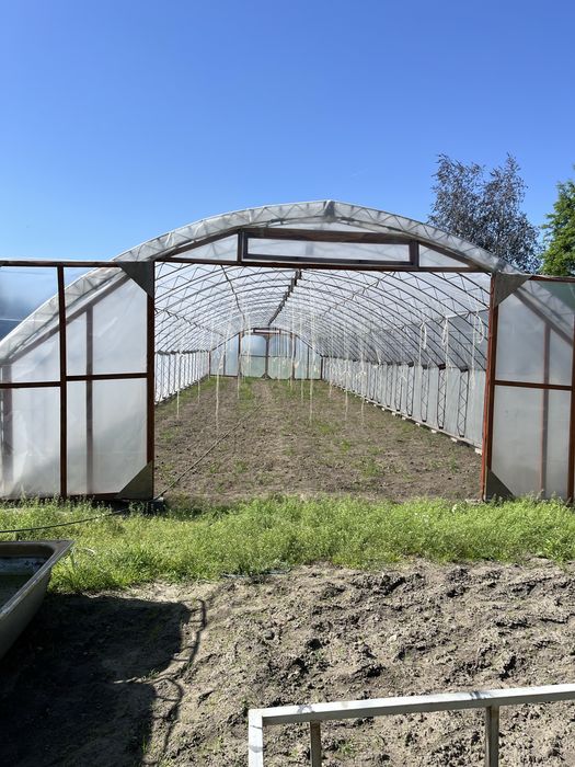 Tunel foliowy 7,5m x31,5m folia 10 sezonowa