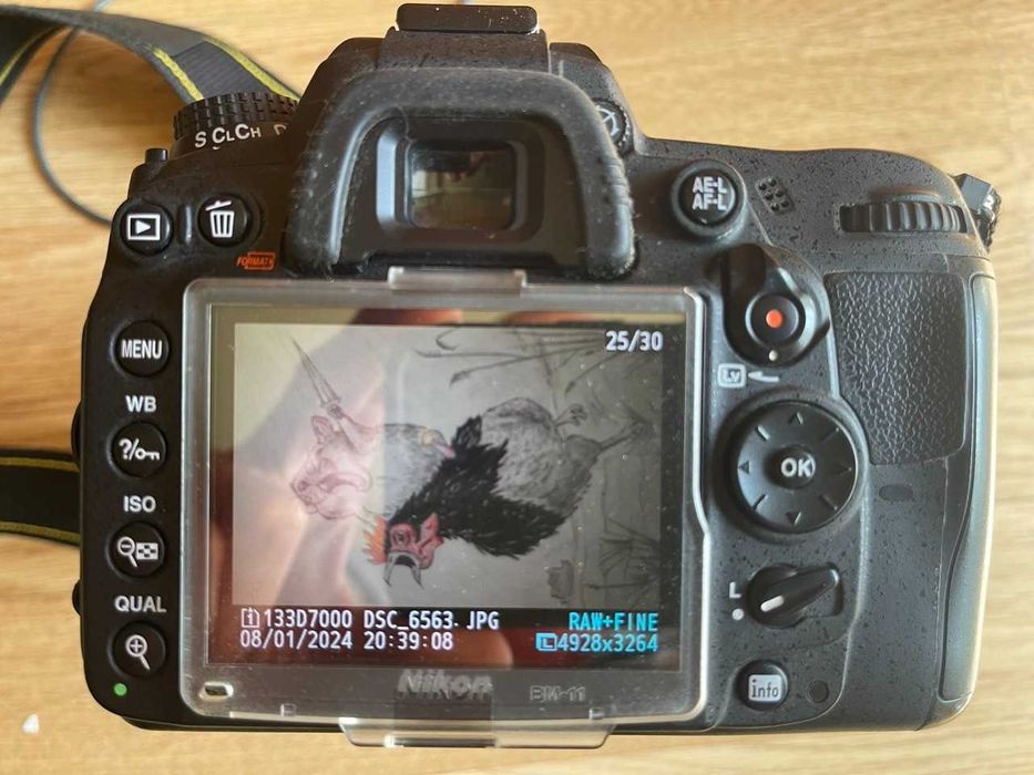 Фотоапарат Nikon D7000 18-105VR Kit + гелиос 81Н 50мм (портрет)+ сумка