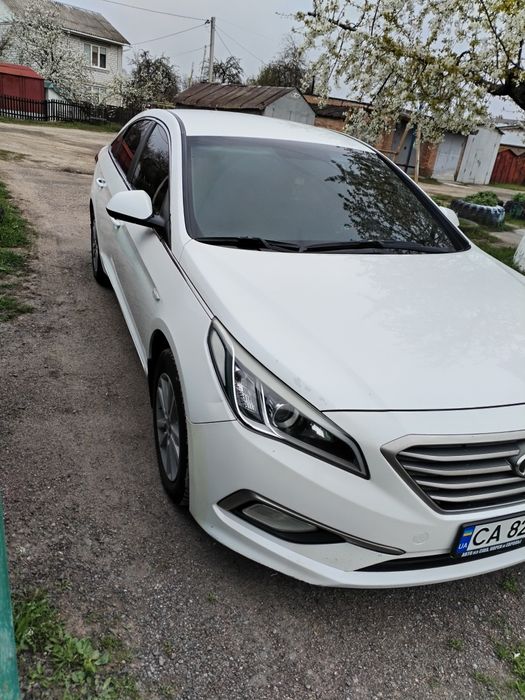 SONATA. LF. LPI. 2014.