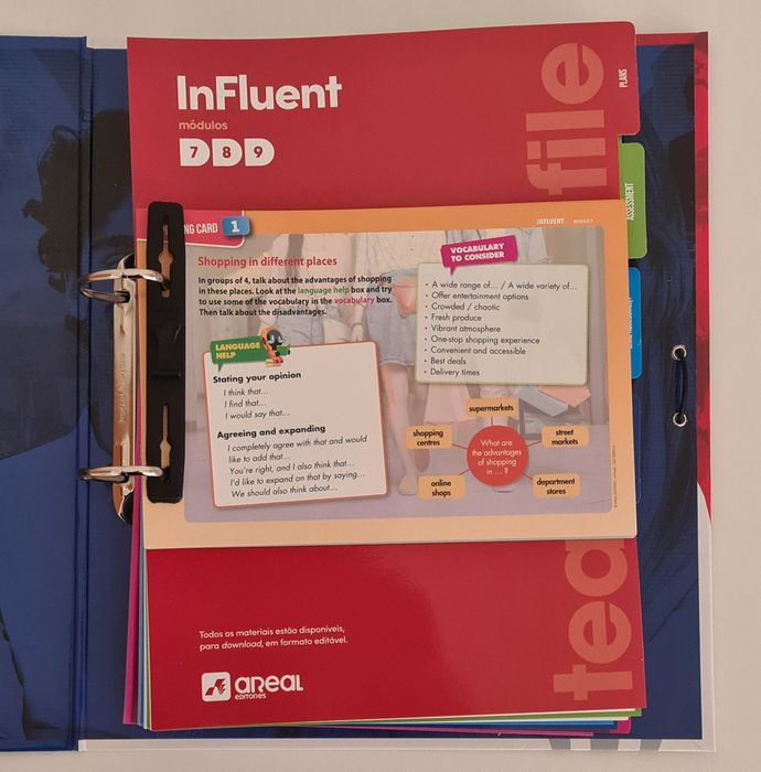 Dossier professor completo. Influent. Novo