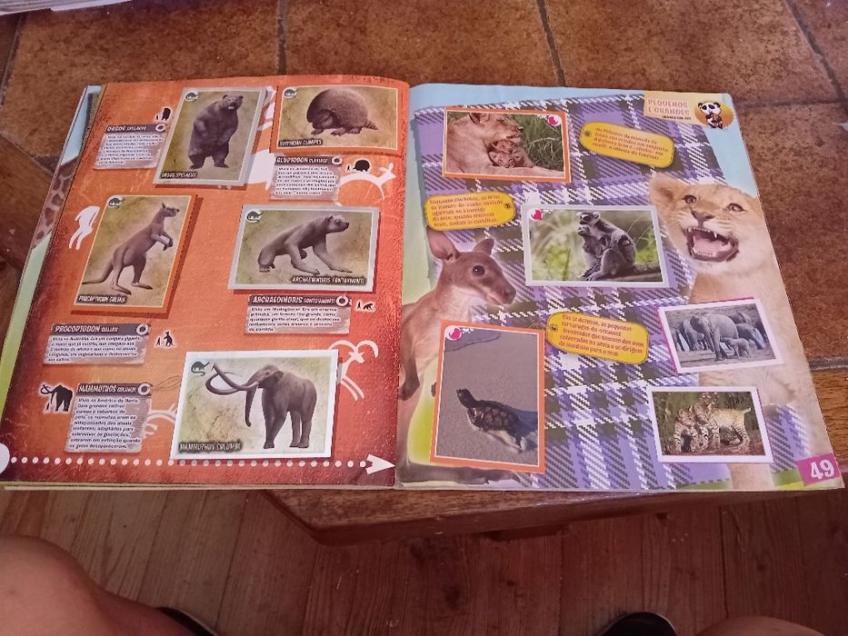Animais 2013, caderneta cromos completa