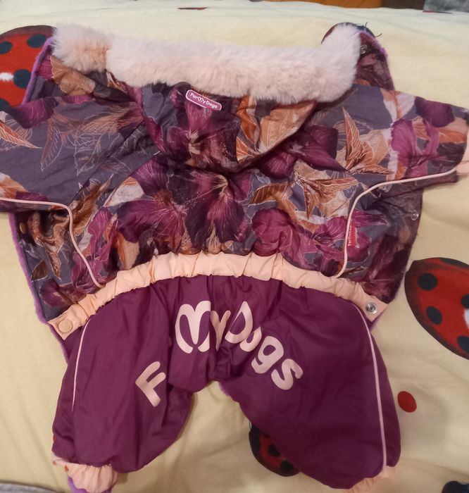 Комбенизон для  маленькой собаки(девочки)