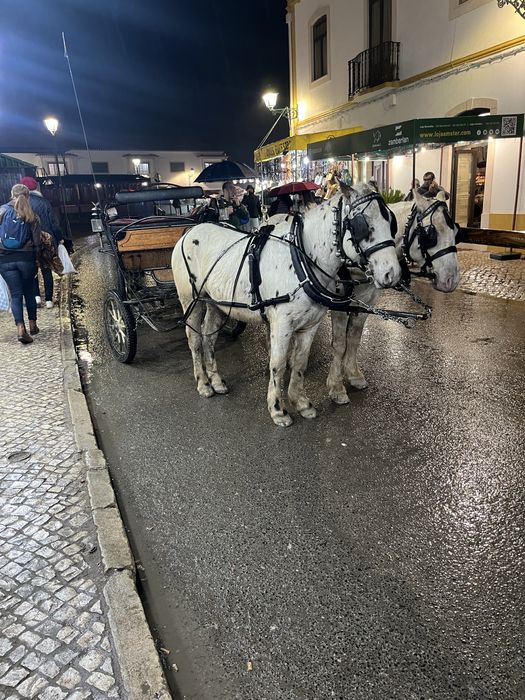 Festas/casamentos/eventos