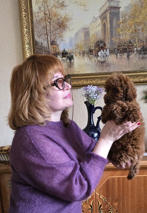 Дівчинка,той пудель,КСУ