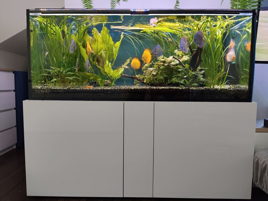 Akwarium 540 l zestaw z szafką oświetleniem i filtrami