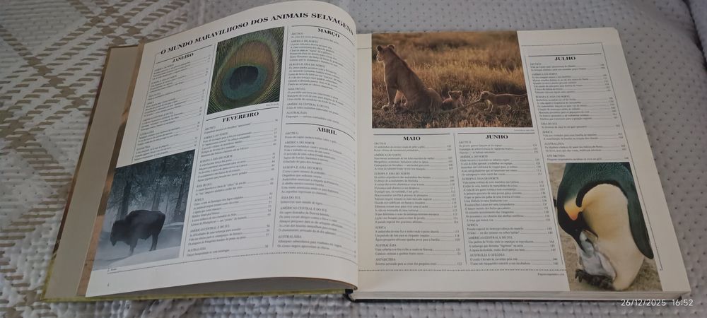 O Mundo Maravilhoso Dos Animais Selvagens