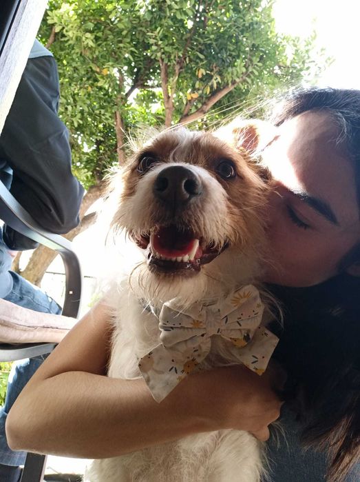 Dogsitter/Petsitter/cuidadora – Cuidado personalizado para o seu cão