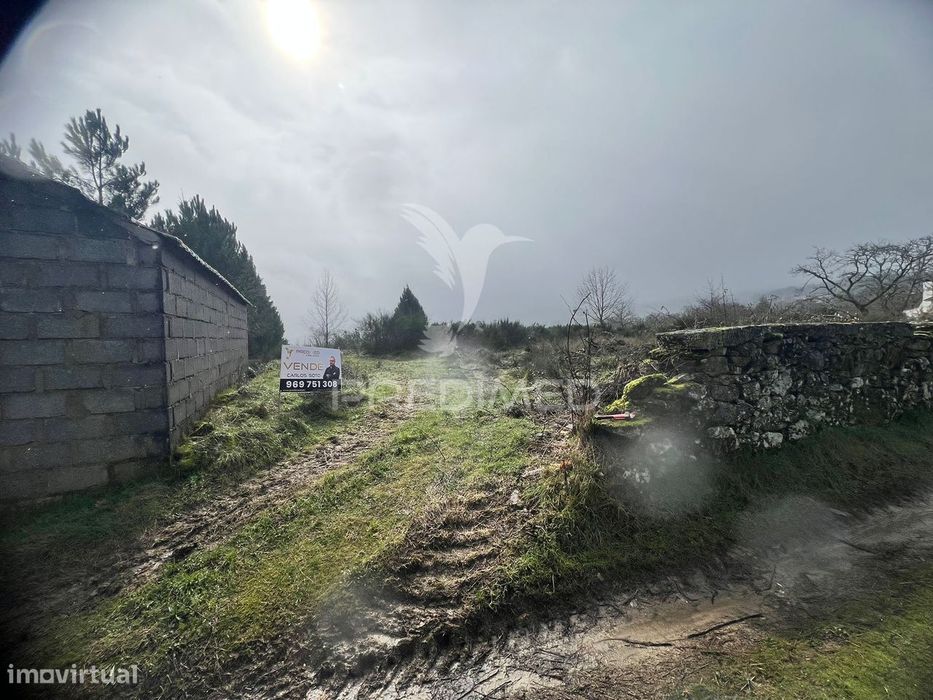 Terreno Rustico Penela Da Beira — Penela da Beira, Viseu